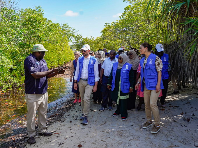 Visiting the mangrove forests of Gazi. Some 2 000 mangrove seedlings are planted here each year. Photo: Lise Åserud, NTB.